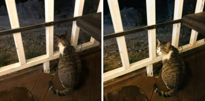 화면 캡처 2024-12-07 183835.png