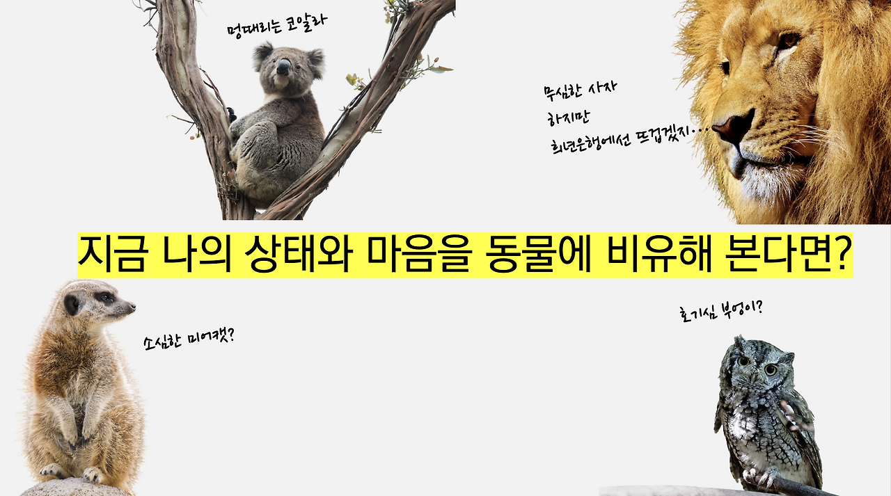 희년은행 워크숍 진행 PT 2023-01-19 14-37-45.png