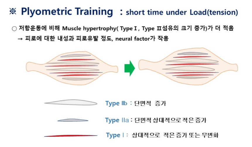 화면 캡처 2024-08-10 233011.png