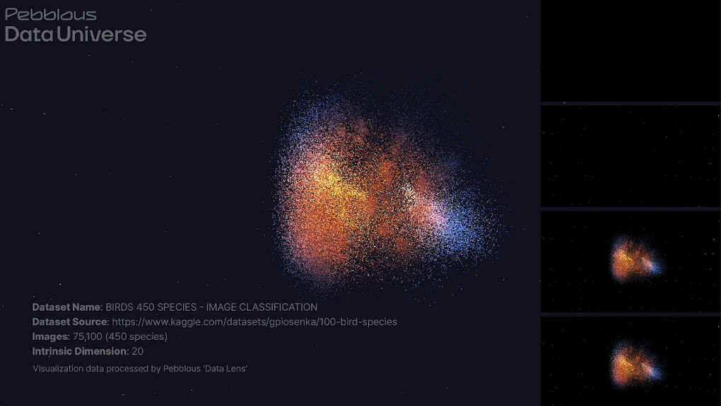 페블러스 DAL.png