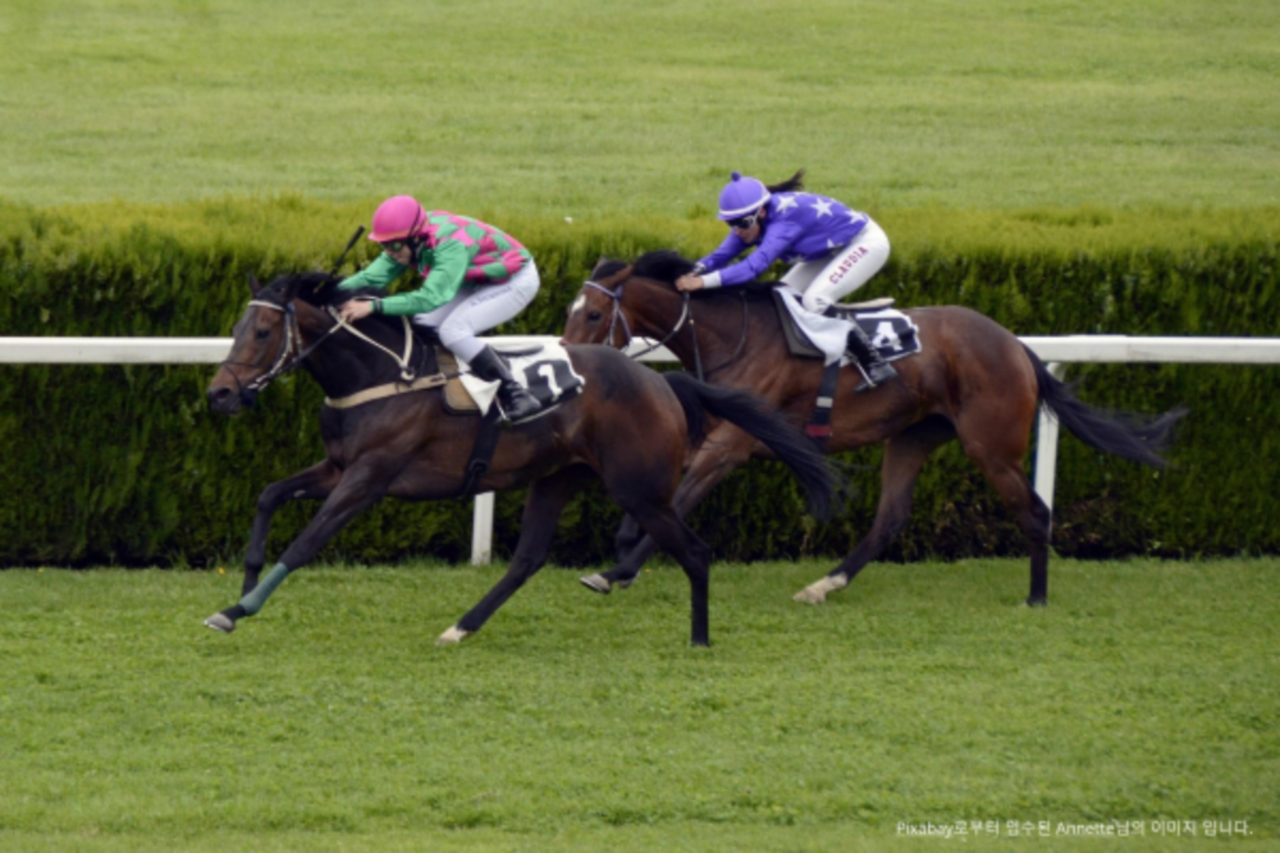 경마1.png