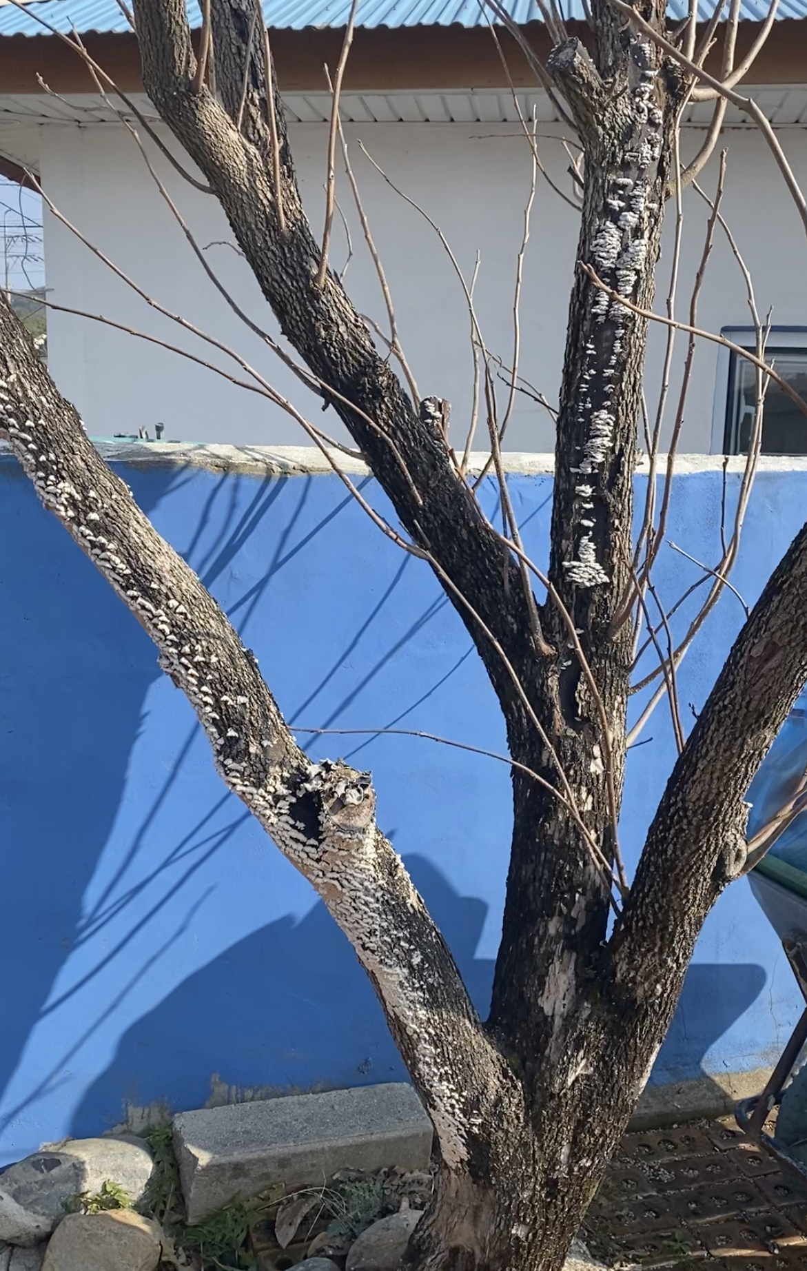 스크린샷 2025-06-27 오후 12.31.06.png