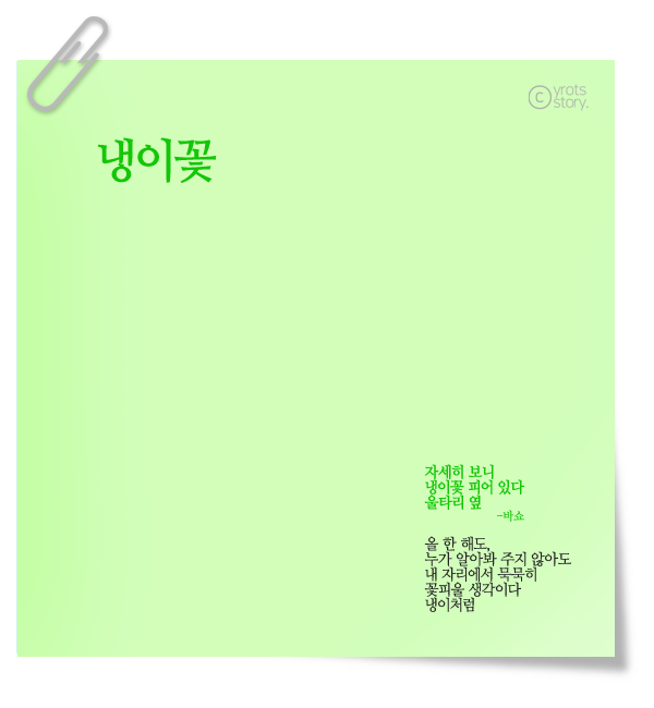냉이꽃 2.png