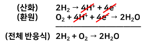 연료전지반응식.png