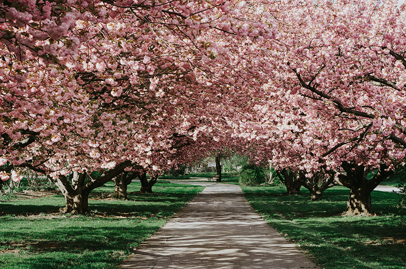 Artboard 10 copy 7 복사.png