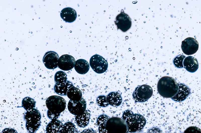 Artboard 10 copy 8.png