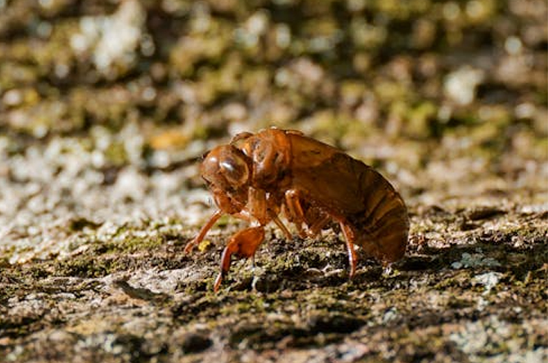 Artboard 10 copy 7 복사.png