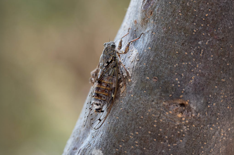 Artboard 10 copy 9.png