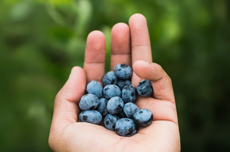 Artboard 10 copy 7 복사.png