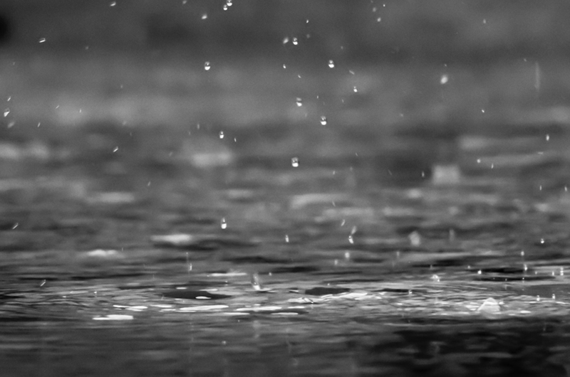 Artboard 10 copy 7 복사.png