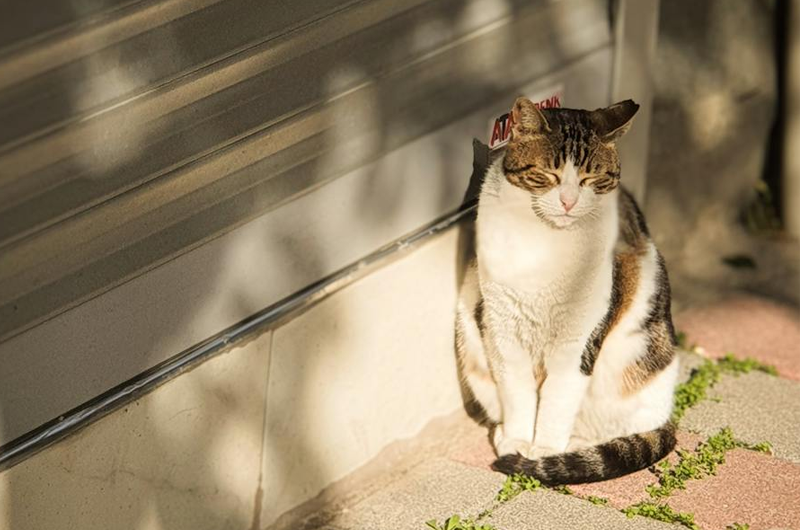 Artboard 10 copy 7 복사 2.png