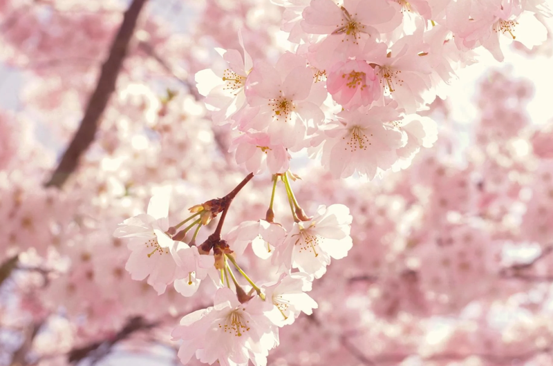 Artboard 10 copy 7 복사.png