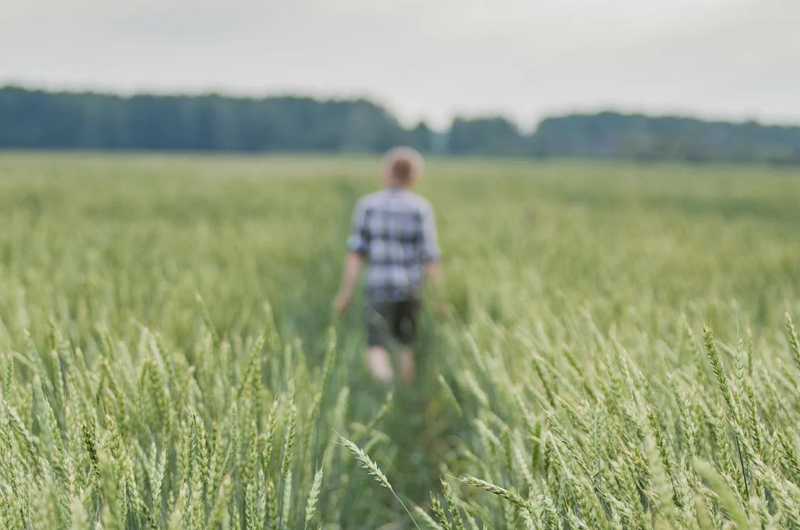 Artboard 10 copy 7 복사 4.png