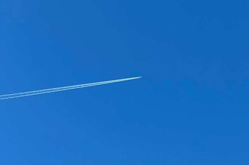 Artboard 10 copy 7 복사.png