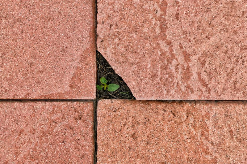 Artboard 10 copy 7 복사 3.png