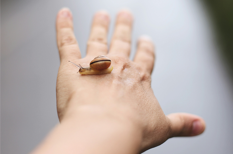 Artboard 10 copy 7 복사 5.png