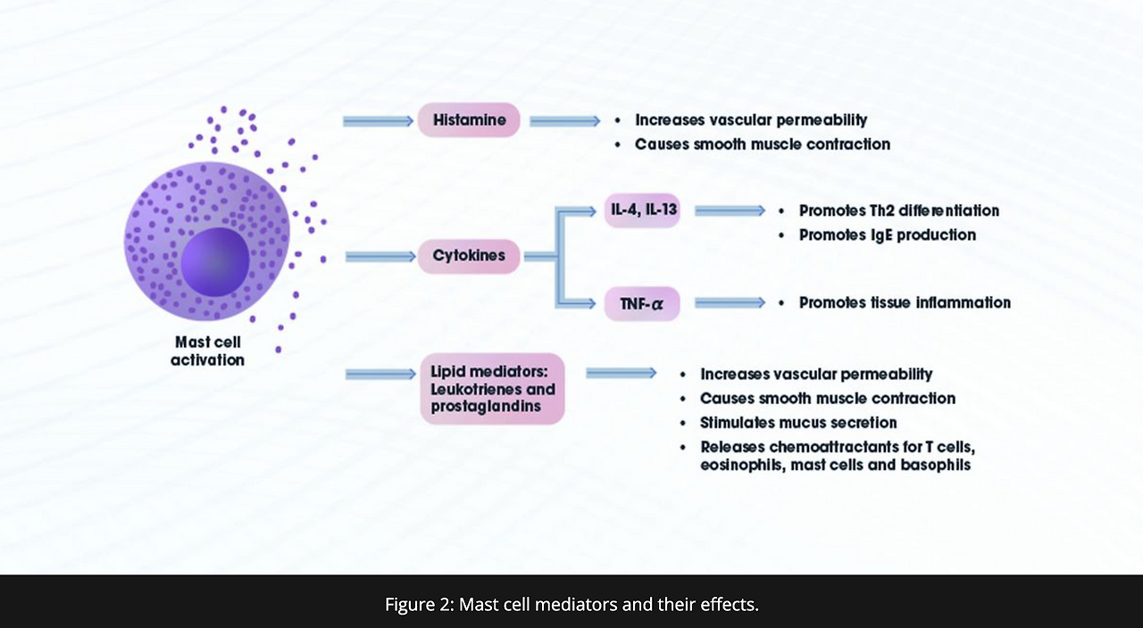 스크린샷 2025-02-14 오전 8.28.11.png
