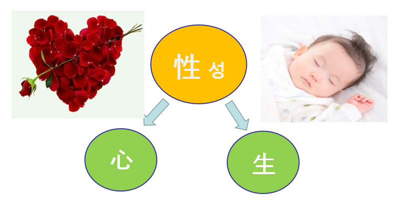 화면 캡처 2025-07-27 071459.png