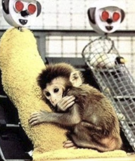 화면 캡처 2025-10-11 125004.png