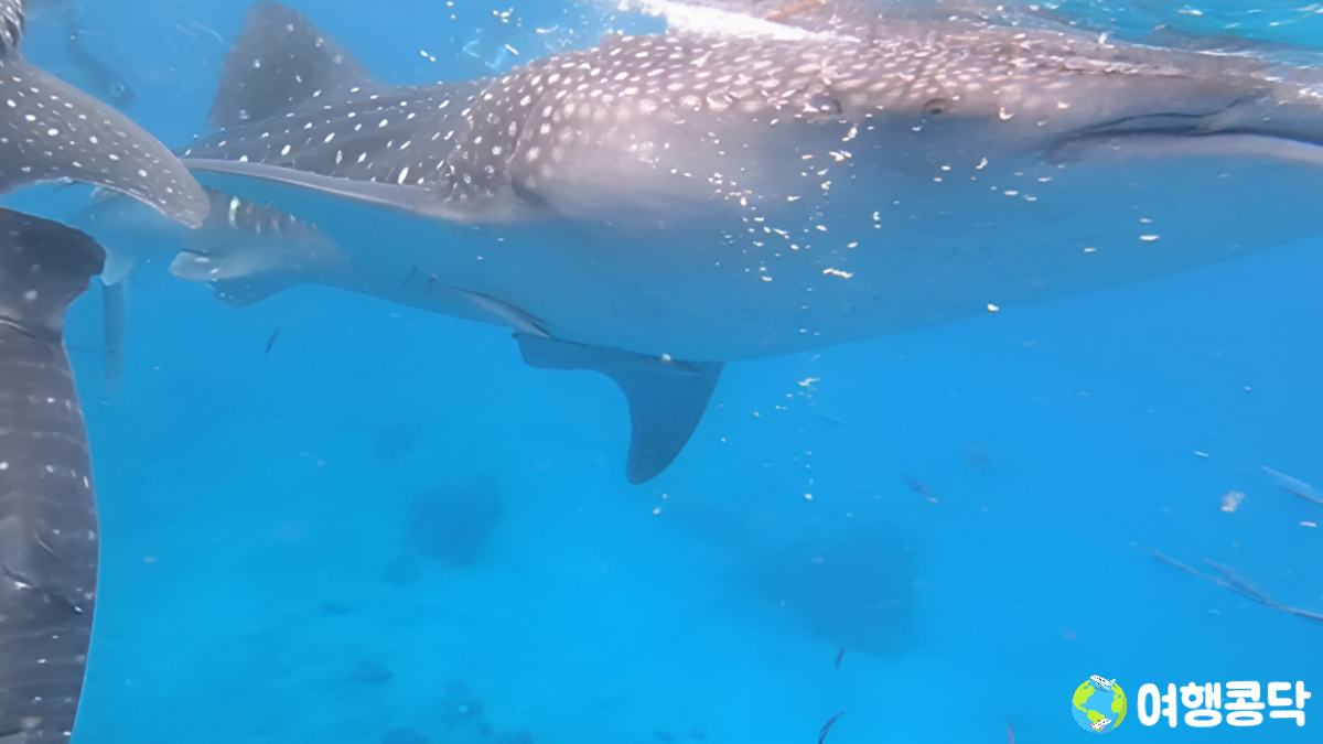 제목을 입력해주세요_-002 (3).png