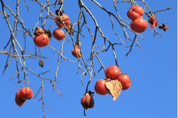 스크린샷 2025-06-17 오후 7.15.25.png