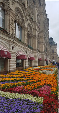 2-86 굼 백화점.png