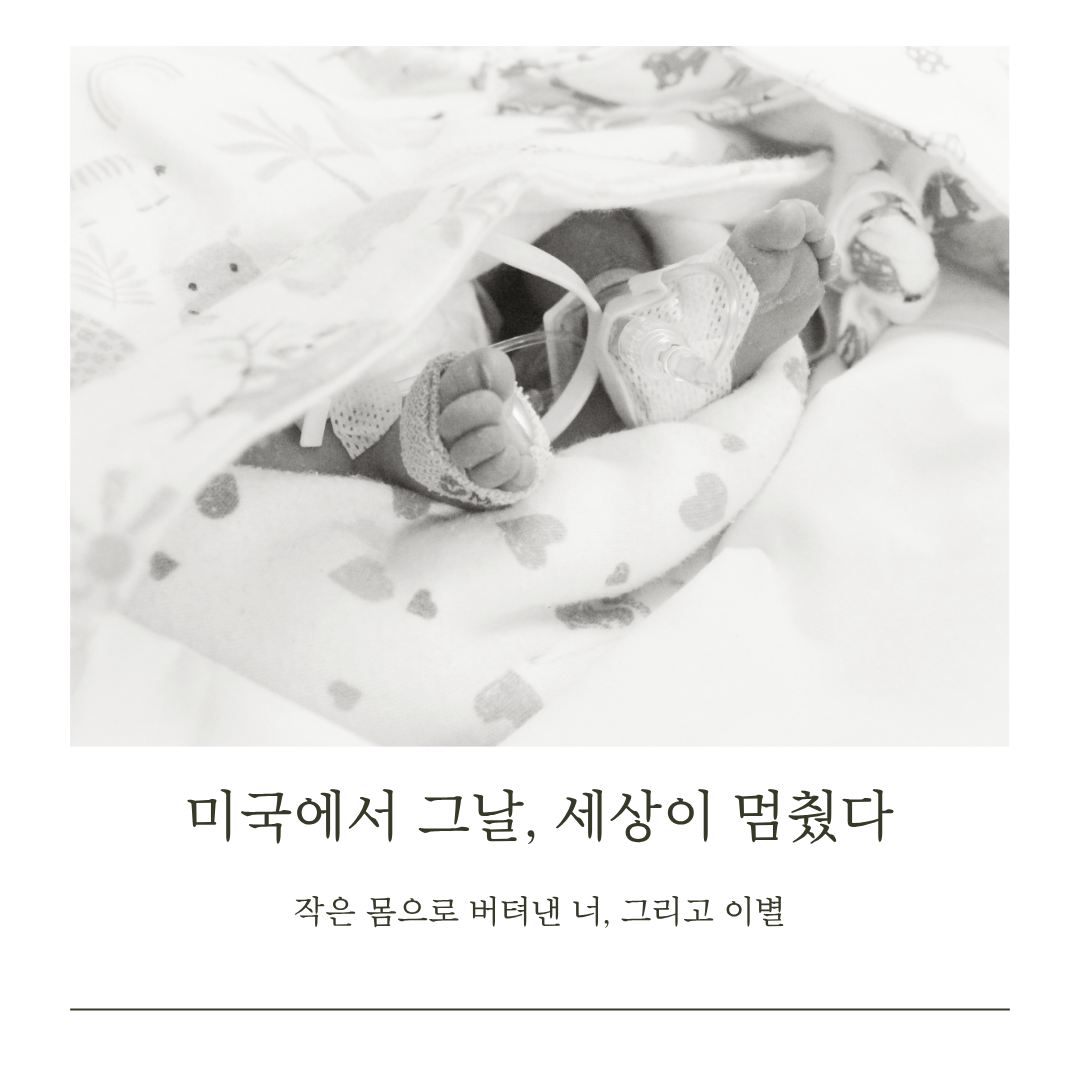 미국에서 그날, 세상이 멈췄다.png