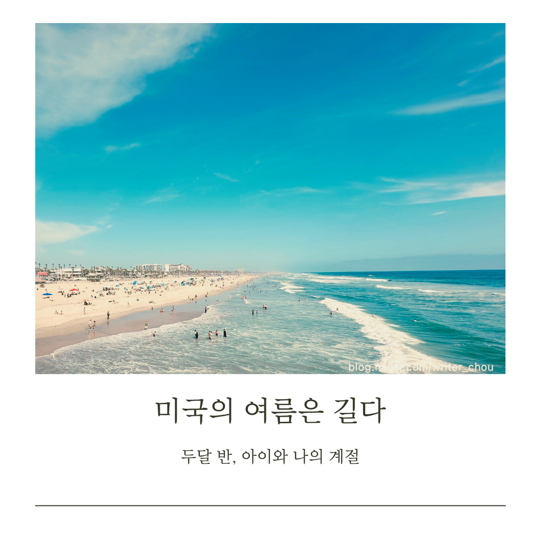 미국의 여름은 길다.png