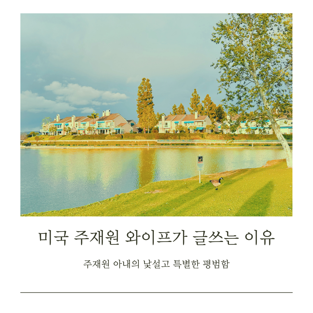 미국 주재원 와이프가 글쓰는 이유.png