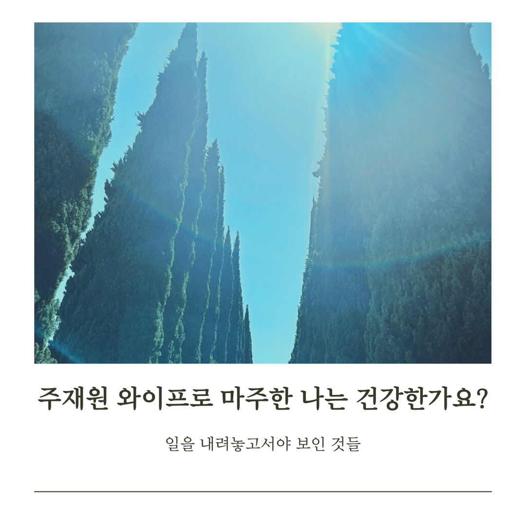 미국 주재원 와이프로 마주한 나는 건강한가요.png