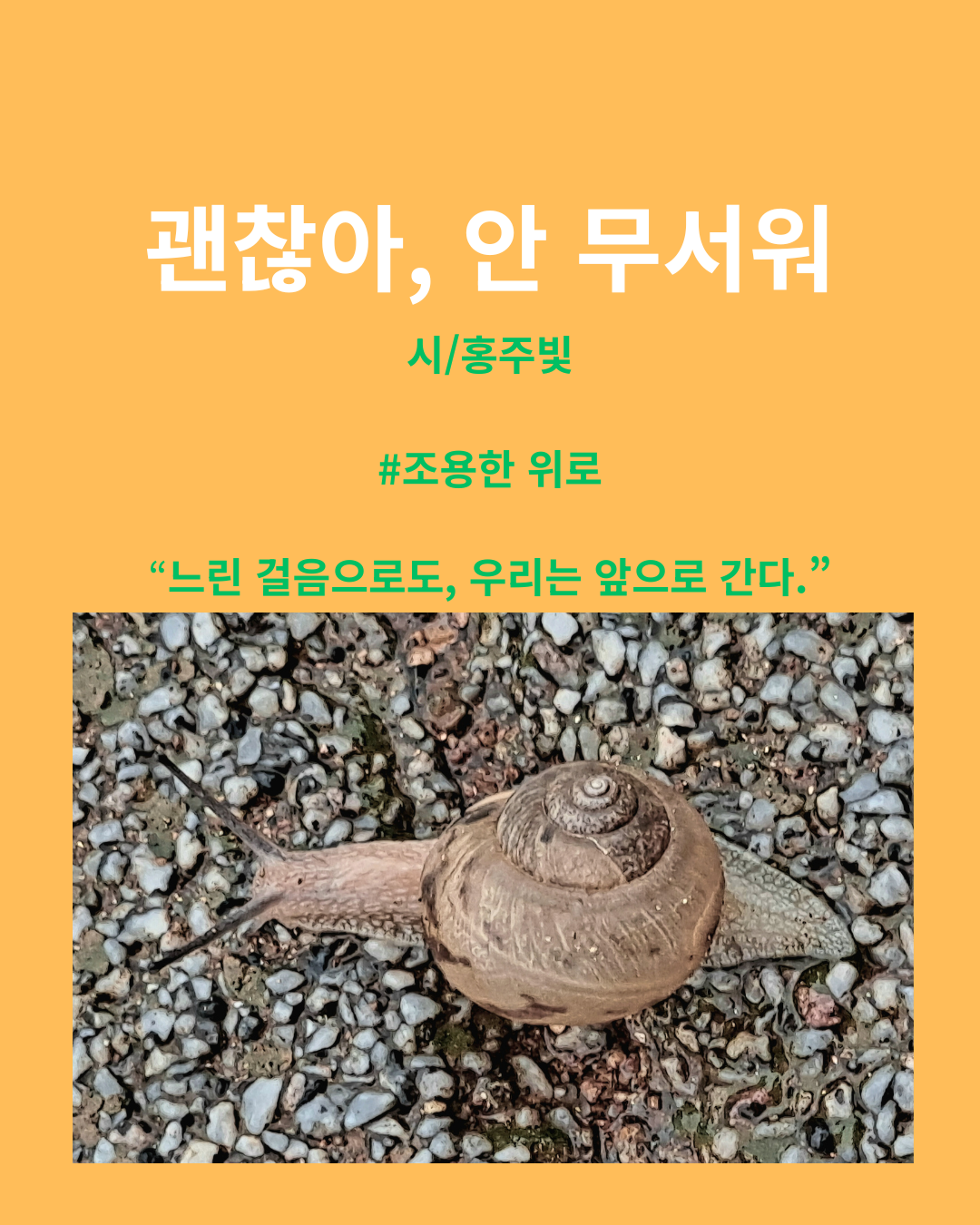 괜찮아, 안 무서워.png