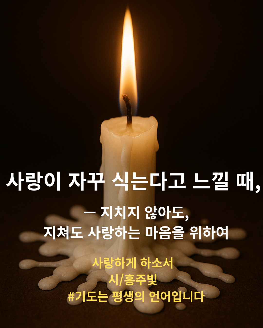 기도시 사랑하게하소서 홍주빛 지친사랑을위한기도.png