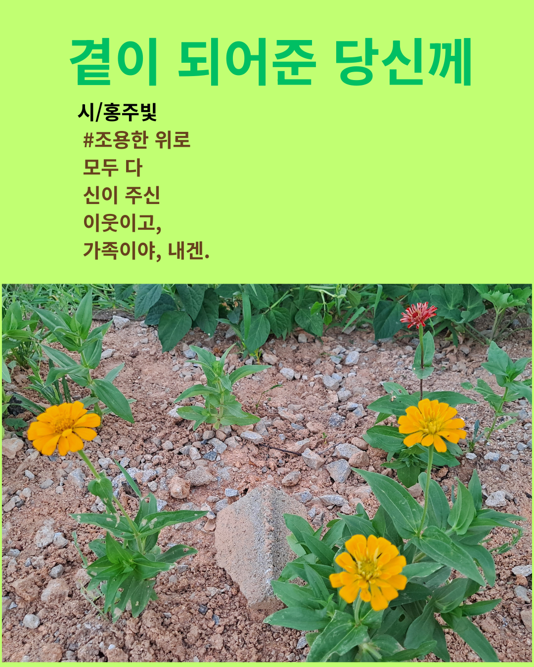 사랑하게 하소서 (3).png