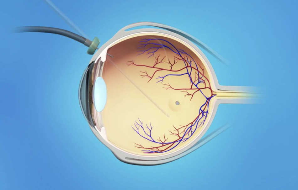 스크린샷 2025-09-02 오후 4.43.35.png