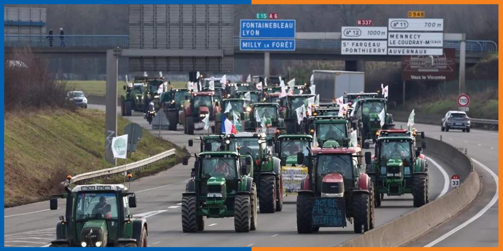 65bbab95ae72ebf20b290a20_Article blog LYSEO (3).png