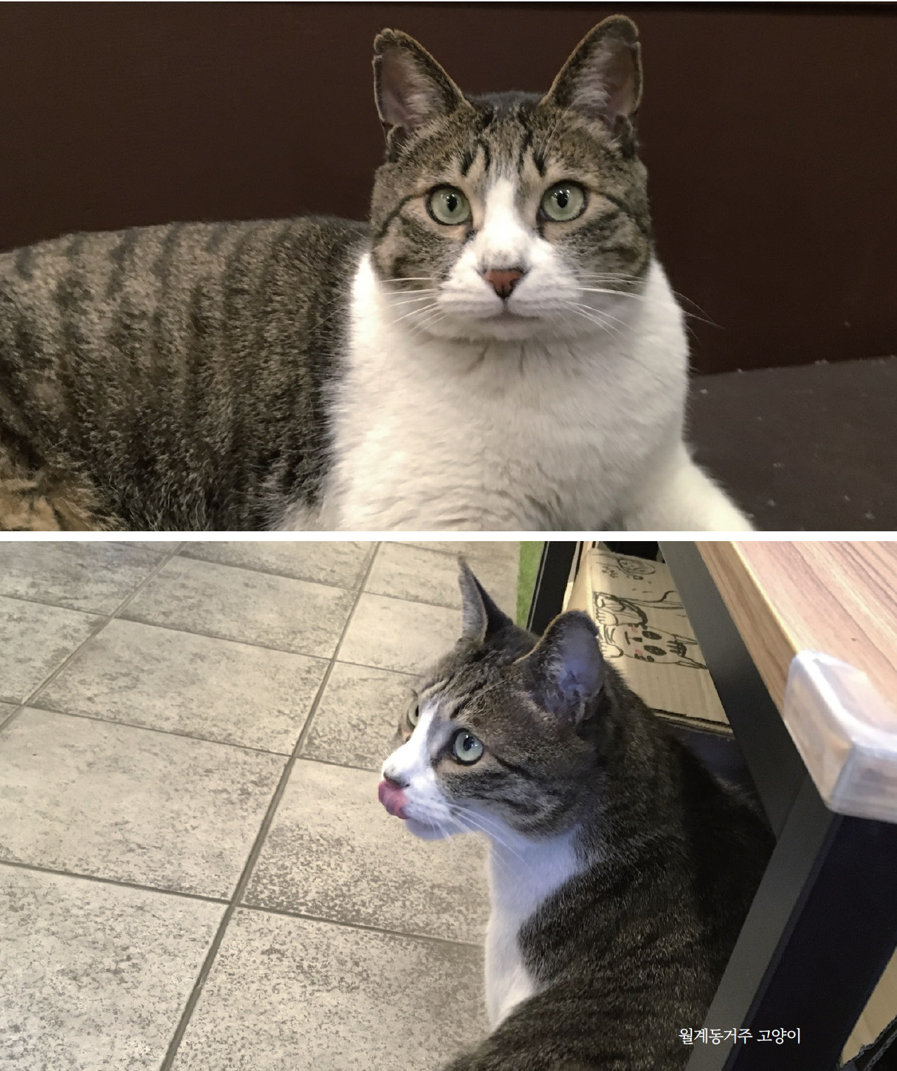 스크린샷 2025-08-27 오후 10.18.44.png