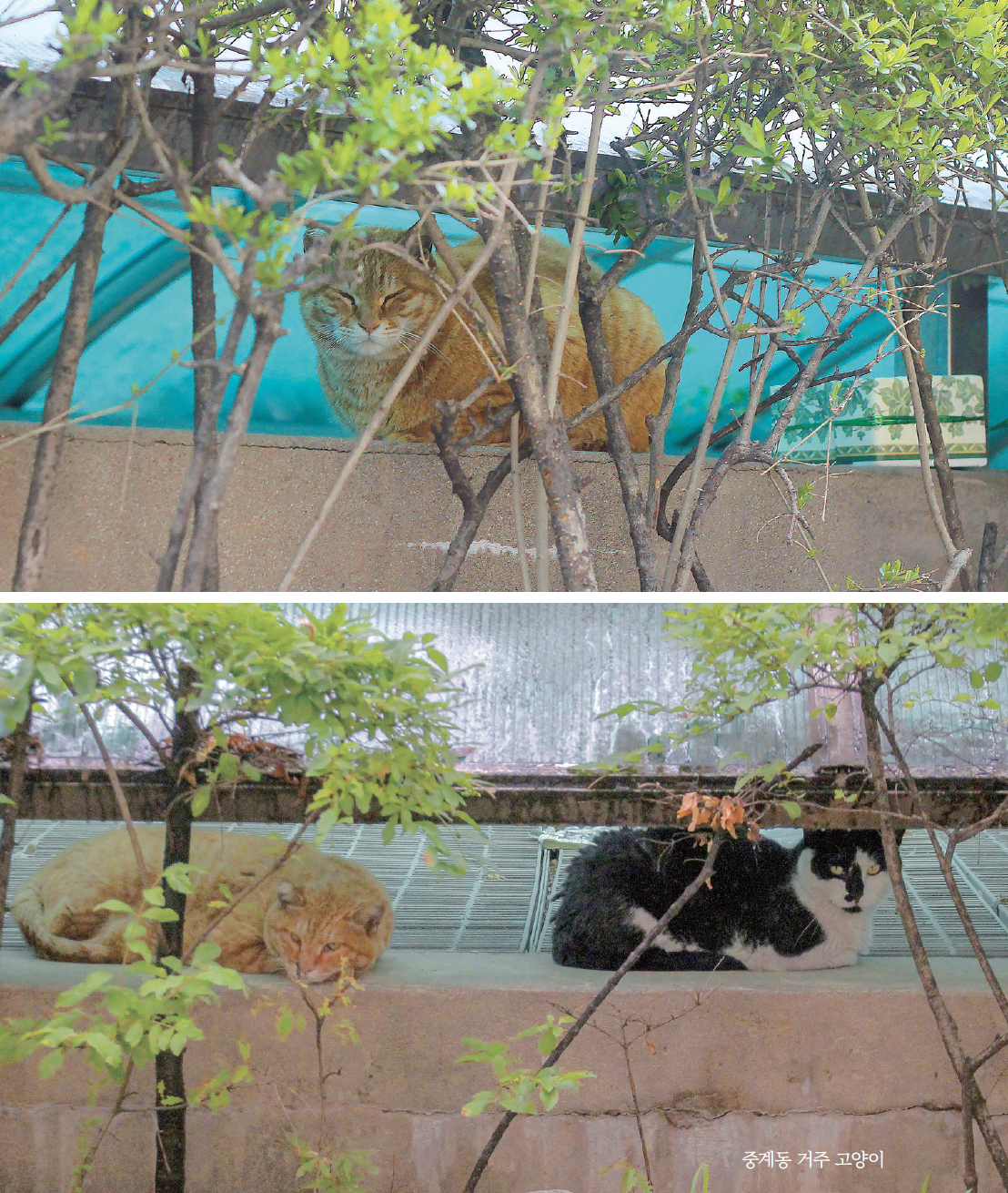 스크린샷 2025-08-27 오후 10.18.07.png