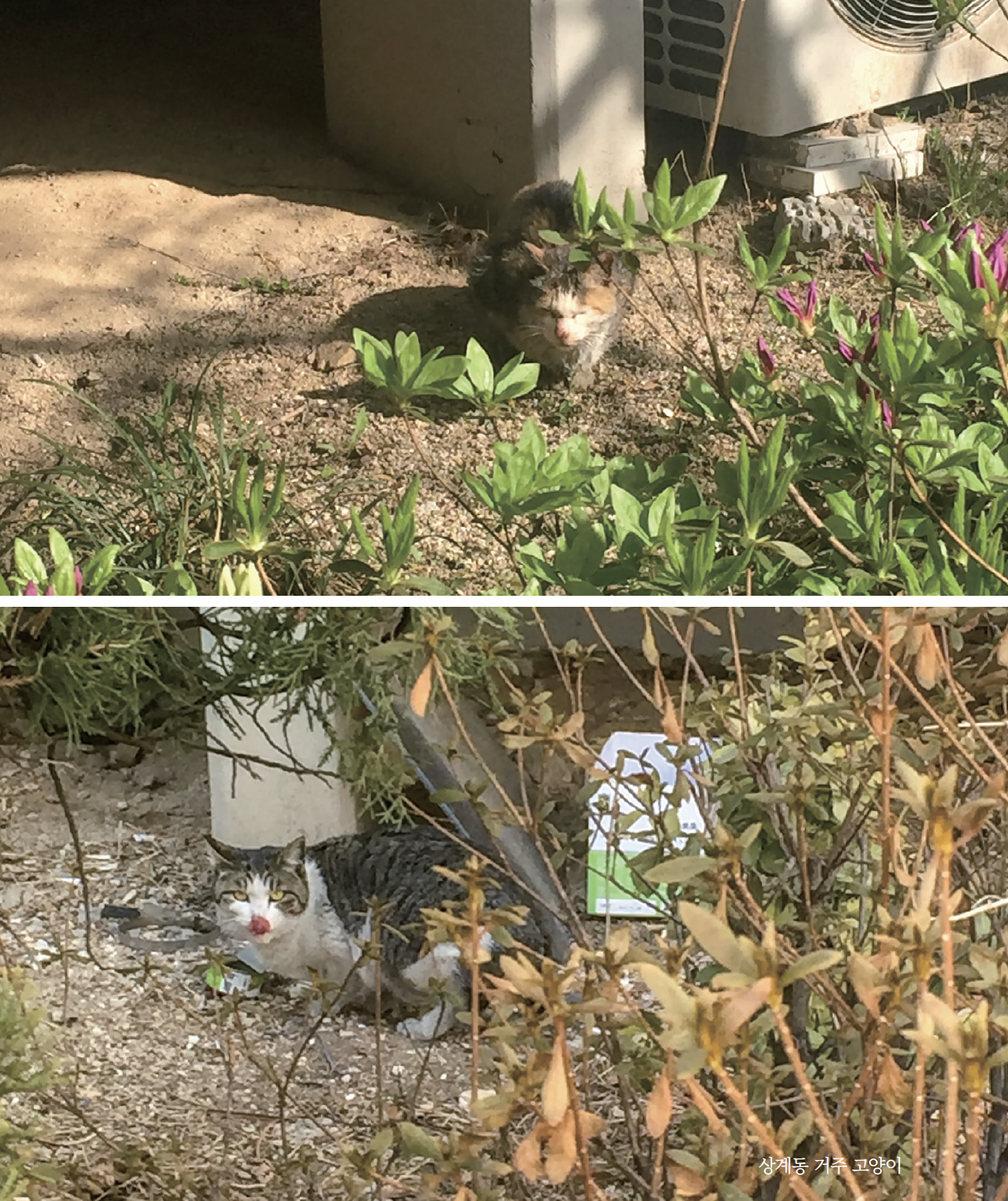 스크린샷 2025-08-27 오후 10.18.22.png