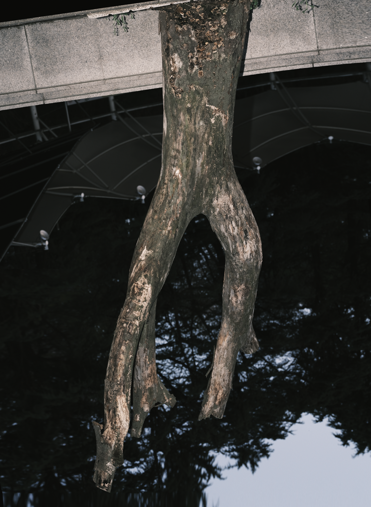 스크린샷 2025-10-23 오후 7.26.27.png