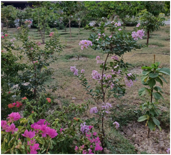 도로변 꽃 20250619_150114317.png