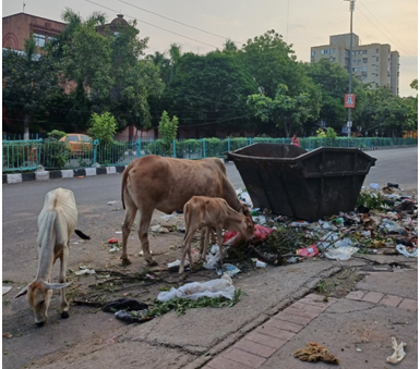 쓰레기와 소.png