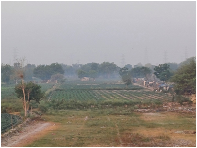 야무나강 들판 모습 20250613_162444566.png