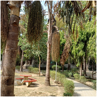 멋진 공원 나무들 20250814_152622559.png