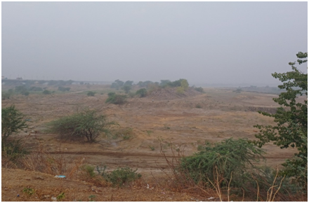 야무나강 둔치 들판 20250821_114632714.png