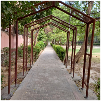 공원 내 산책길 20250814_145611660.png