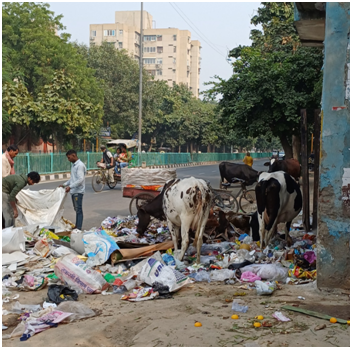 쓰레기와 소 20250610_152815046.png