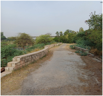 뉴델리 하천변 20250528_161823798.png