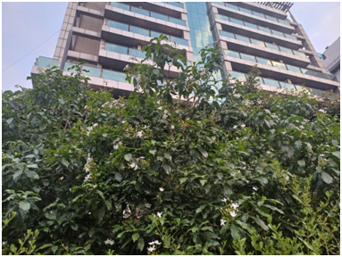 호텔 외관 20250724_105730889.png