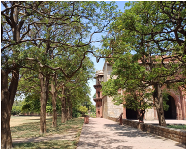 돌담 20250731_112228262.png