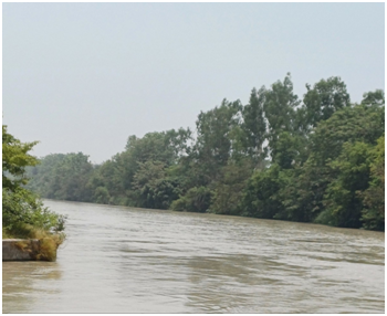 갠지스강 운하 20250704_143331106.png